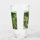 Verre Trafalgar Falls Tropical Rainforest Photographie (Droite)