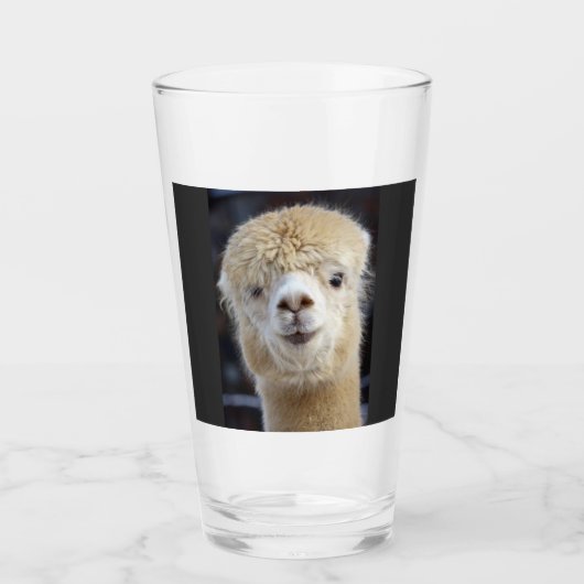 Verre Un joli visage moelleux d'un alpaga (Devant)