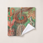 Vers, Annelids Chaetopoda par Ernst Haeckel (Gant de toilette)