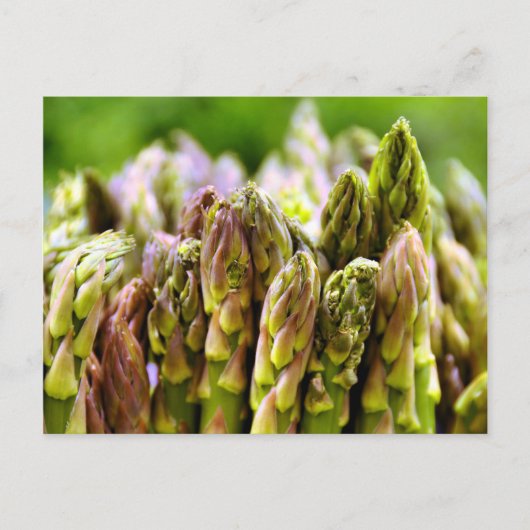 Vers! Asperge Briefkaart (Voorkant)