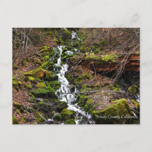 Vers bronwater....briefkaart briefkaart