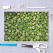 Vers Brussels Sprouts Tissuepapier (Craft)