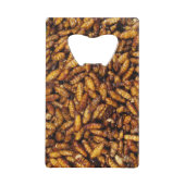 Vers de soie frits ... Thai Street Food (Devant)