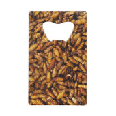 Vers de soie frits ... Thai Street Food (Dos)