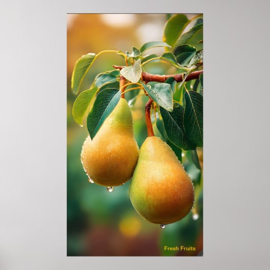 Vers fruit poster (Voorkant)