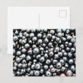 Vers geplukte zwarte bessen briefkaart (Voorkant / Achterkant)