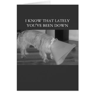 vers le bas dans les décharges