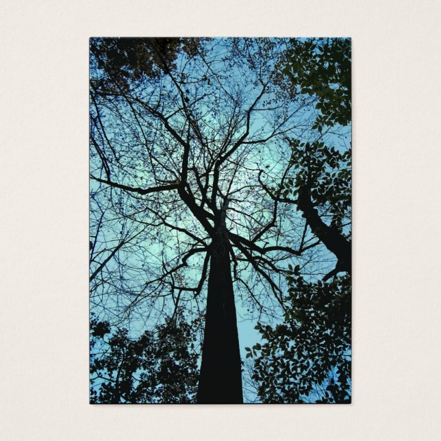 Vers le haut de l'arbre ATC (Devant)
