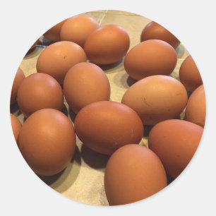 Vers verzamelde bruine eieren ronde sticker
