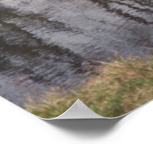 Versailles Tea House Poster (Hoek)