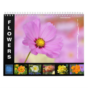 Verscheidene bloemen 12-maandenkalender kalender