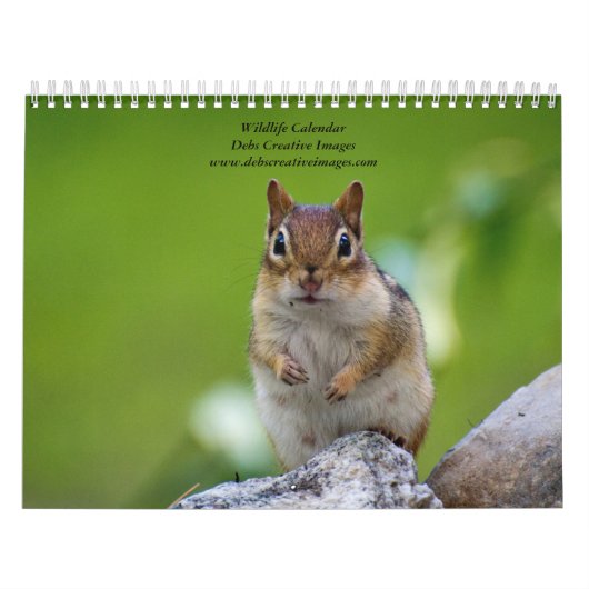 Verscheidenheid aan wilde dieren 2026 kalender (Hoes)