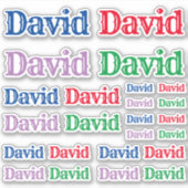 Verscheidenheid van Grootte van de Naam David Sticker (Voorkant)
