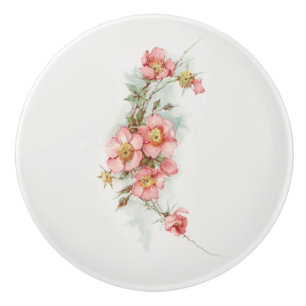  Verschilderde Stijlvrije Rozen Keramische Knop