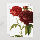 Verschilderen van dieprode  rozen briefkaart (Voorkant / Achterkant)