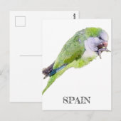 Verschilderen van groene papegaaien waterverf briefkaart (Voorkant / Achterkant)