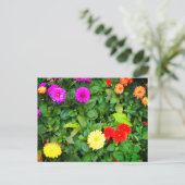 Verschillende Dahlias #1 Briefkaart (Staand voorkant)