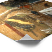 Verschillende drummer poster (Hoek)