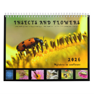 Verschillende insecten en bloemen 12 maanden kalen kalender