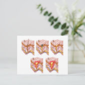 Verschillende soorten Acne Briefkaart (Staand voorkant)