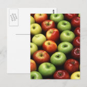 Verschillende soorten appelen briefkaart (Voorkant / Achterkant)