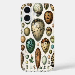 Verschillende soorten eieren wetenschappelijke ill iPhone 16 hoesje