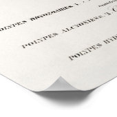 Verschillende soorten koralen poster (Hoek)