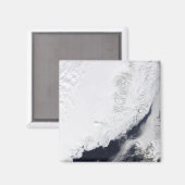 Verschillende soorten zee-ijs magneet (Voorkant / Achterkant)