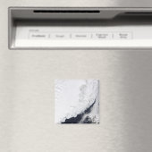 Verschillende soorten zee-ijs magneet (Insitu (Vaatwasser))