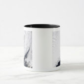 Verschillende soorten zee-ijs mok (Midden)