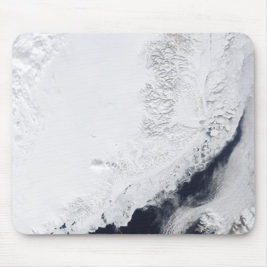 Verschillende soorten zee-ijs muismat (Voorkant)