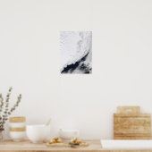 Verschillende soorten zee-ijs poster (Keuken)