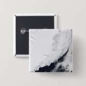Verschillende soorten zee-ijs vierkante button 5,1 cm (Voorkant /achterkant)