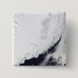 Verschillende soorten zee-ijs vierkante button 5,1 cm