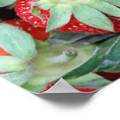 verse aardbeien 2 poster (Hoek)