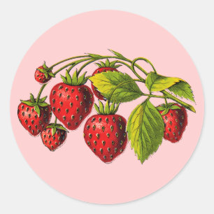 Verse aardbeien ronde sticker
