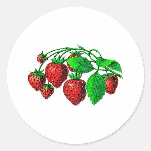 Verse aardbeien ronde sticker (Voorkant)