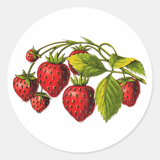 Verse aardbeien ronde sticker (Voorkant)