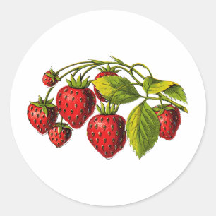 Verse aardbeien ronde sticker
