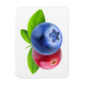 Verse bessen magneet (Verticaal)