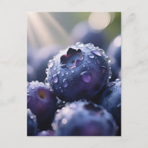 Verse Blauwe Bosbessen Close Up Briefkaart