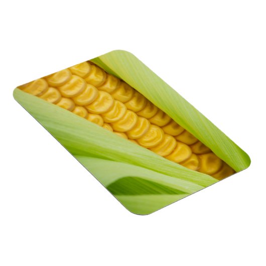 Verse Corn magnet Magneet (Rechterzijde)
