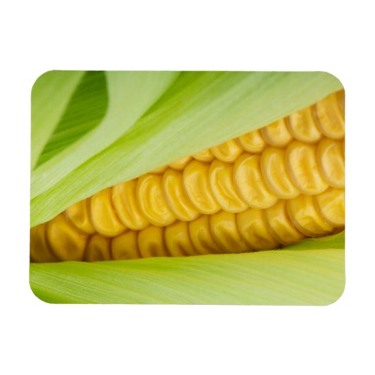 Verse Corn magnet Magneet (Horizontaal)