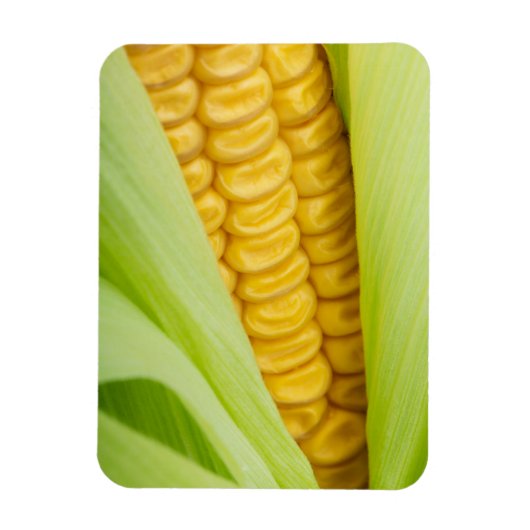 Verse Corn magnet Magneet (Verticaal)
