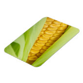 Verse Corn magnet Magneet (Linkerzijde)