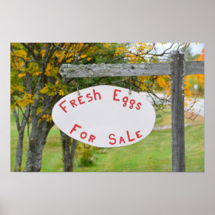 Verse Eieren Te Koop in Vermont Bord Poster