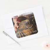 Verse eierstickers vierkante sticker (Envelop)