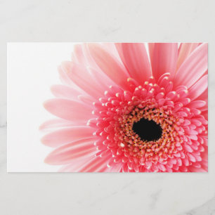 Verse foto van roze Gerbera-margriet Briefpapier