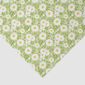 Verse Frühlingsmargerietvector Kunst Tissuepapier (Detail)
