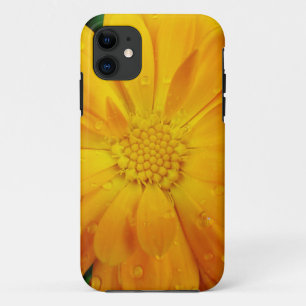 , verse gele maisbloem iPhone 11 hoesje